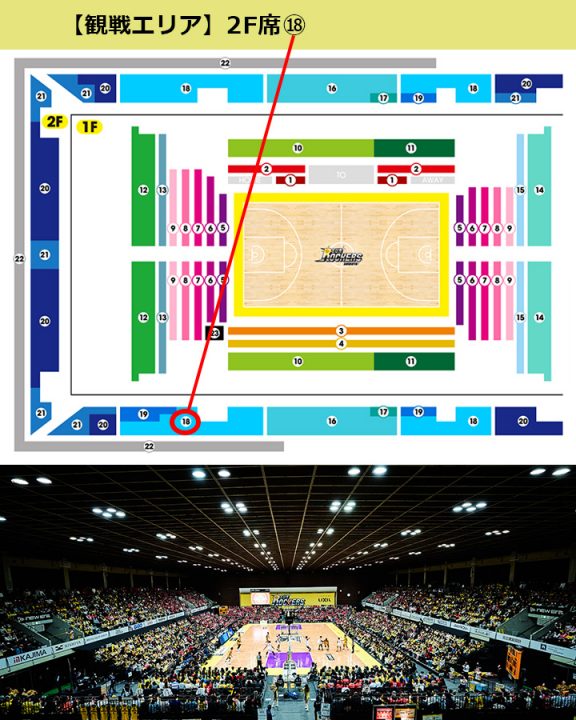 琉球ゴールデンキングス応援ツアー（渋谷ロッカーズ戦）座席エリア