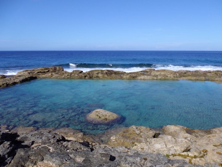 南大東島・海軍棒プール